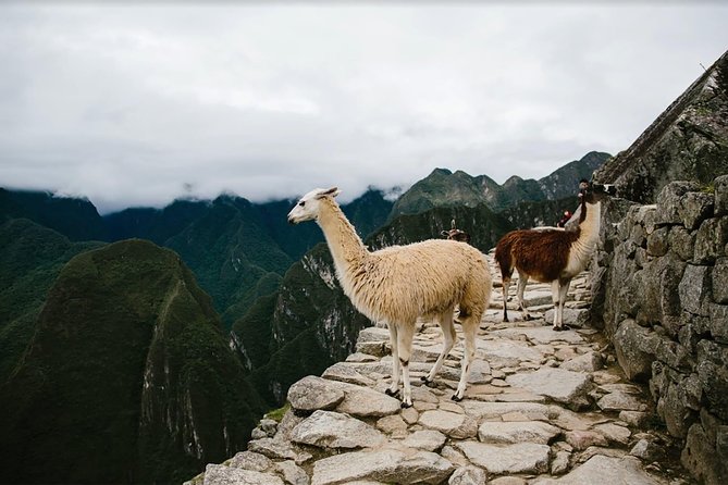 2-Day Short Inca Trail to Machu Picchu - Reaching the Sun Gate