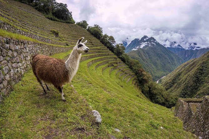 2-Day Short Inca Trail to Machu Picchu - Visiting Machu Picchu on the second day