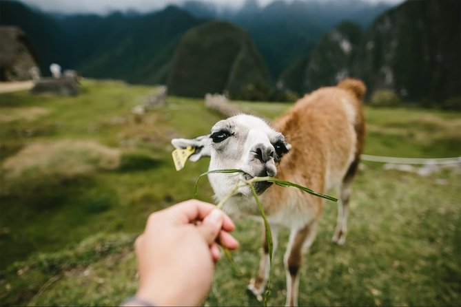 2-Day Short Inca Trail to Machu Picchu - Returning by train and bus