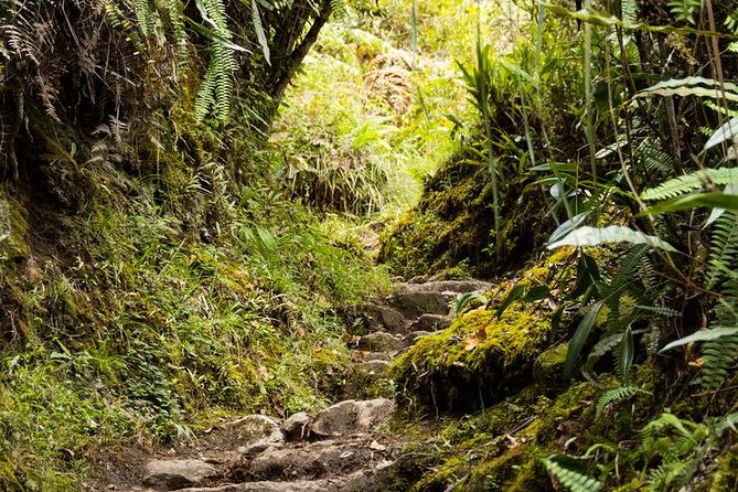 2 Day - Short Inca Trail to Machu Picchu - Group Service - What the $550 price really covers