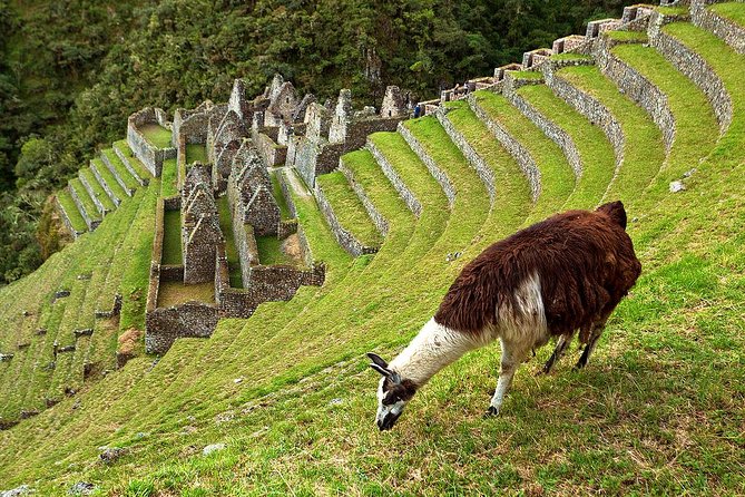 2 Day - Short Inca trail to Machu Picchu - Private Services - The ride back to Cusco