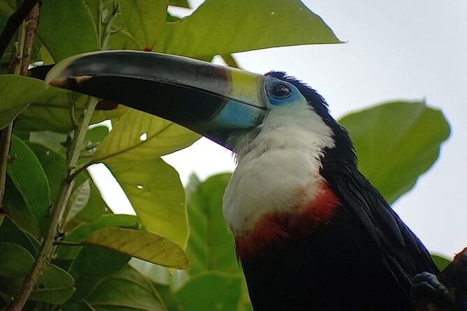 3-Day Eco-Sustainable Private Tour Manu National Park - From Cusco to Ninamarca and the Kosnipata Valley