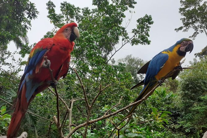 3-Day Eco-Sustainable Private Tour Manu National Park - How sustainable is the trip?