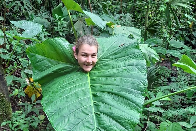 3-Day Eco-Sustainable Private Tour Manu National Park - Is $389 a fair price?