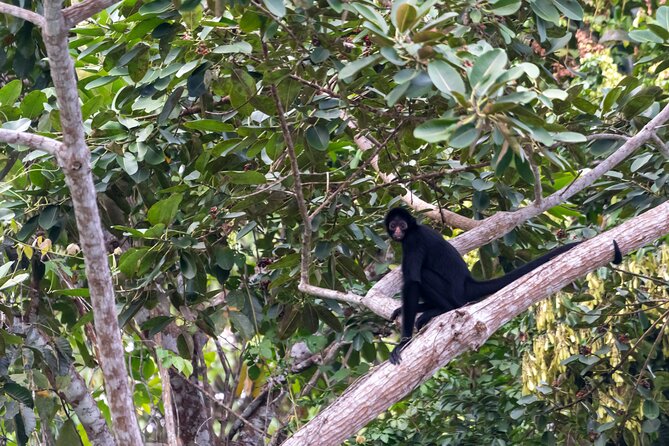 3-Day Eco-Sustainable Private Tour Manu National Park - Physical demands and practical limits