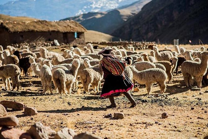 4-Day Lares Trek to Machu Picchu - Why take the Lares route instead of a busier trek?