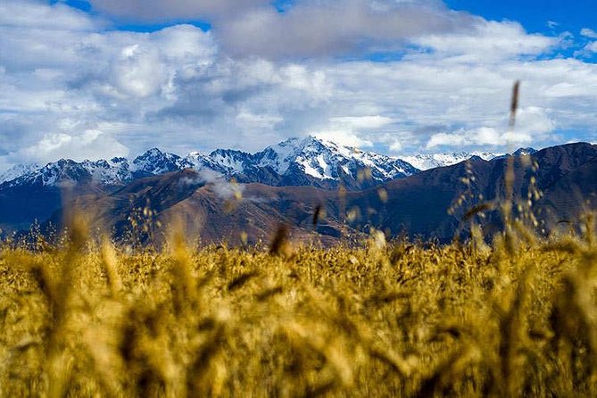 4-Day Lares Trek to Machu Picchu - Day 3: An Andean family, alpaca textiles, and Lares hot springs