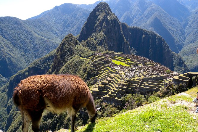 4 Day - Machu Picchu Special - Group Service - Day 1: Cusco from Koricancha to Sacsayhuaman