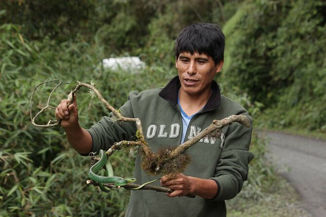 4 Day Tour to the Manu National Park - From Cusco to the cloud forest in one long day
