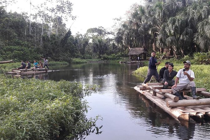 4 Day Tour to the Manu National Park - Sunrise macaws and the clay lick