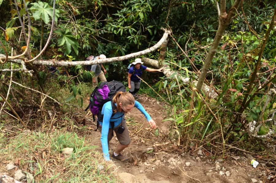4 Days Inca Jungle Adventure to Machu Picchu - Day 4: Sunrise and a two-hour guided Machu Picchu visit