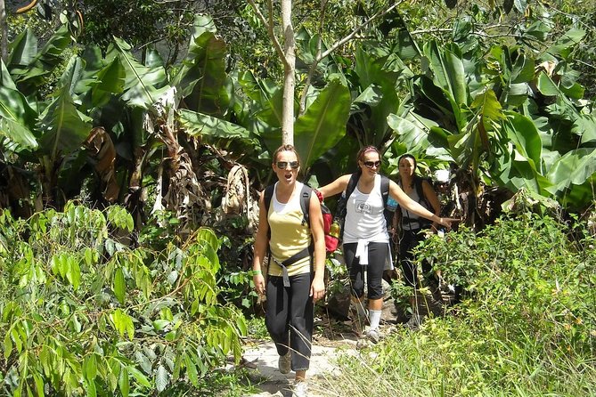 4 Days Inca Jungle to Machu Picchu Standard - How reliable is the organization?