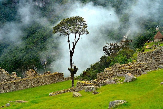 6-Day Cultural Tour to Machu Picchu - Altitude, pace, and practical comfort