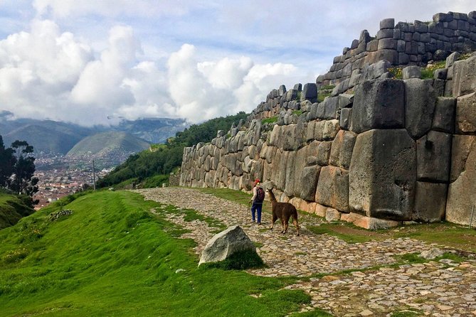 City Tour in Cusco & visit Museum South American Camelid Private. - Sacsayhuaman: the stop that earns the superlatives