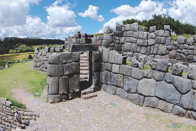 City Tour in Cusco & visit Museum South American Camelid Private. - Manos De La Comunidad: alpacas, llamas, and Andean fiber