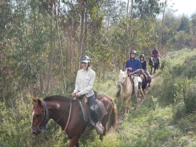 3-Hour Horse Riding Tour to the Temple of the Moon