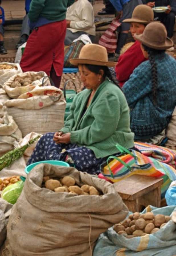 Cusco: 3-Hour Peruvian Cooking Class - Starting at ChocoMuseo by Plaza Regocijo