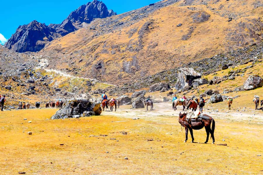 Cusco: 5-Day Salkantay Ultimate Trek to Machu Picchu - Altitude, fitness, and what to pack