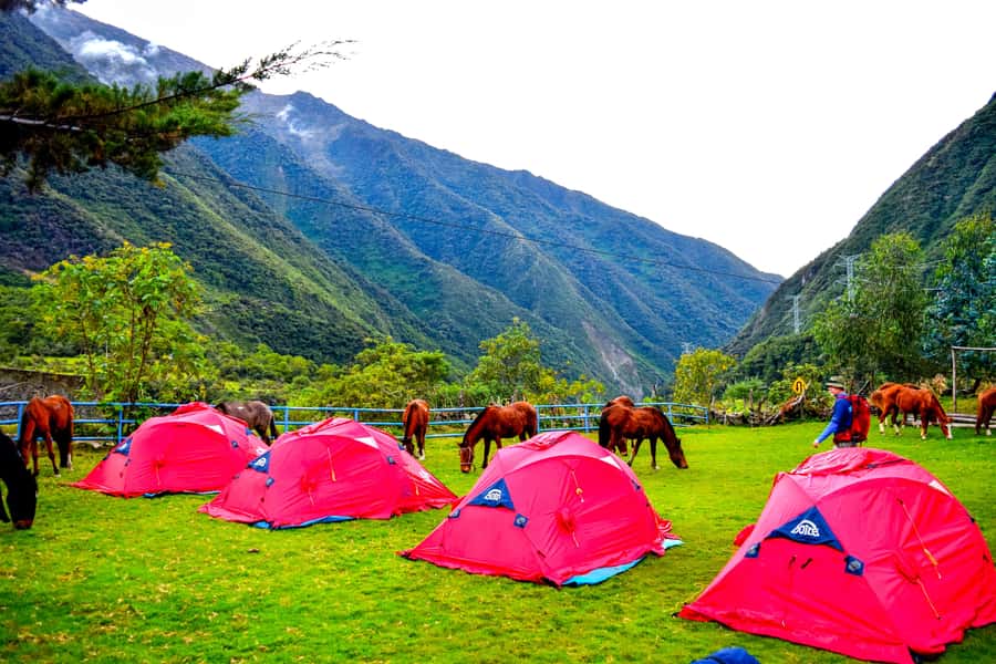 Cusco: 5-Day Salkantay Ultimate Trek to Machu Picchu - What the $669 price really covers