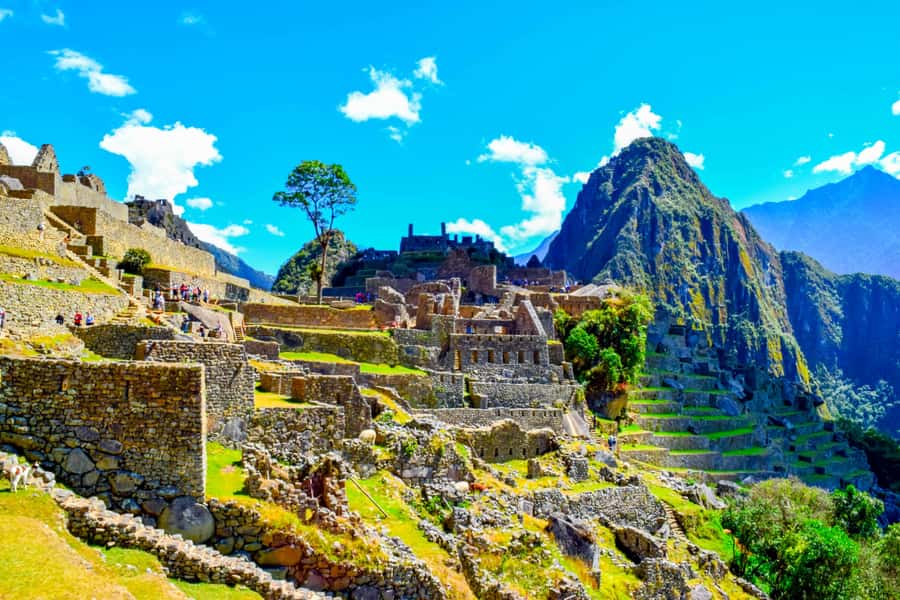 Cusco: 5-Day Salkantay Ultimate Trek to Machu Picchu - Camping, horses, meals, and group size