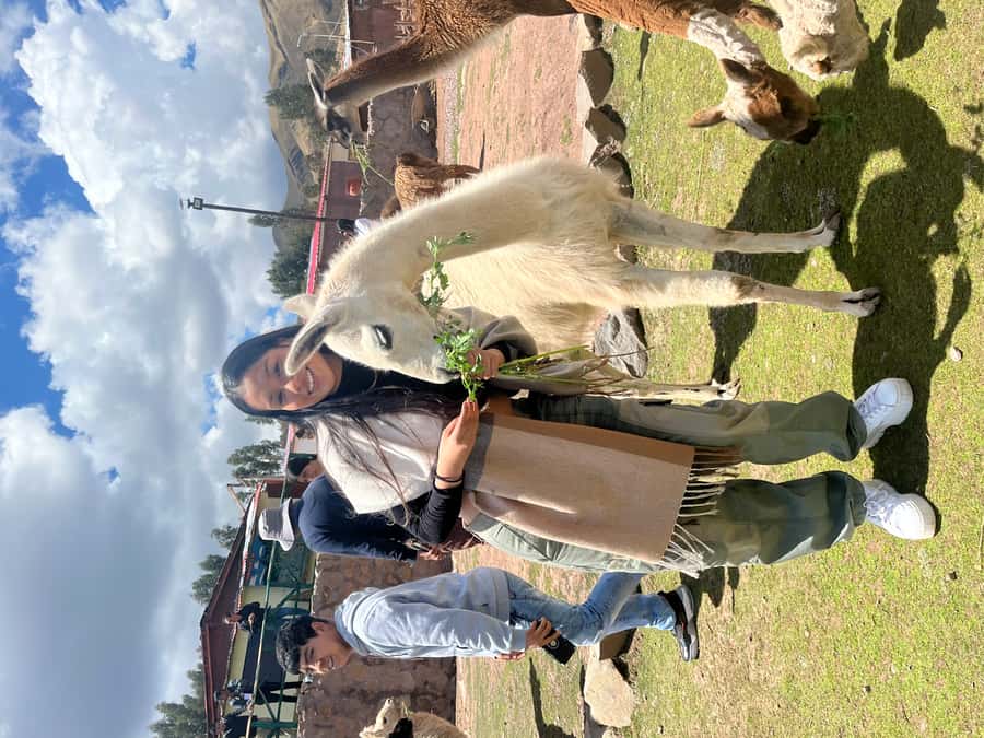 Cusco: Archeological Sites Tour and Forest Photo Experience - Tambomachay, where water takes center stage