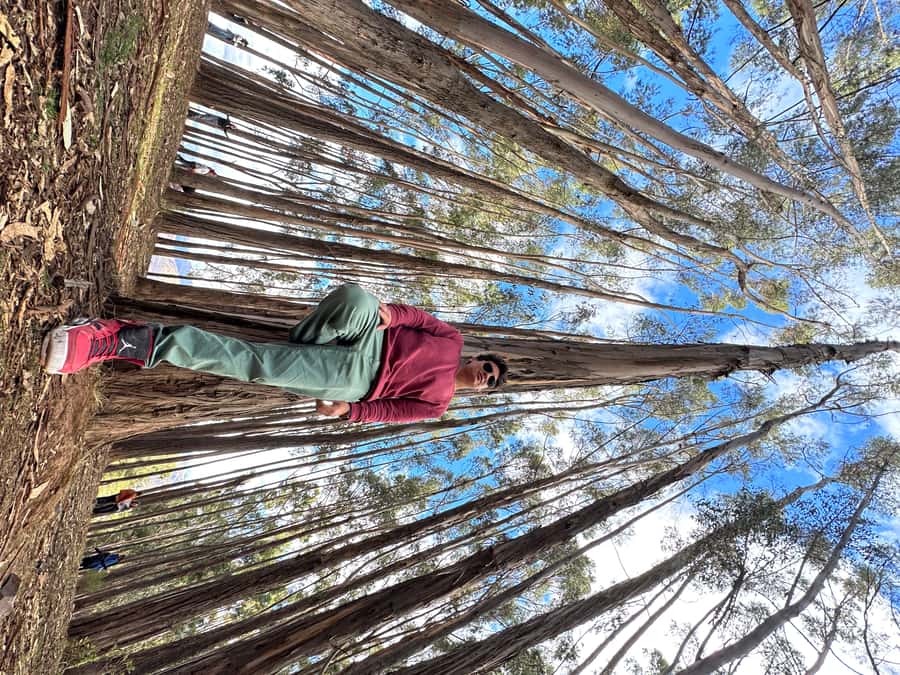 Cusco: Archeological Sites Tour and Forest Photo Experience - The real cost of a $17 half-day