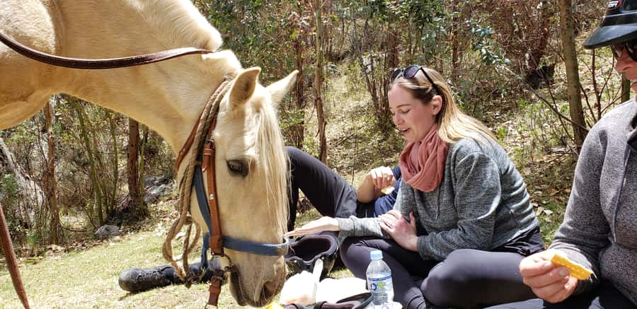Cusco: Half-Day Horseback Riding at Devil's Balcony - Pickup from Cusco and the ranch near Sacsayhuaman