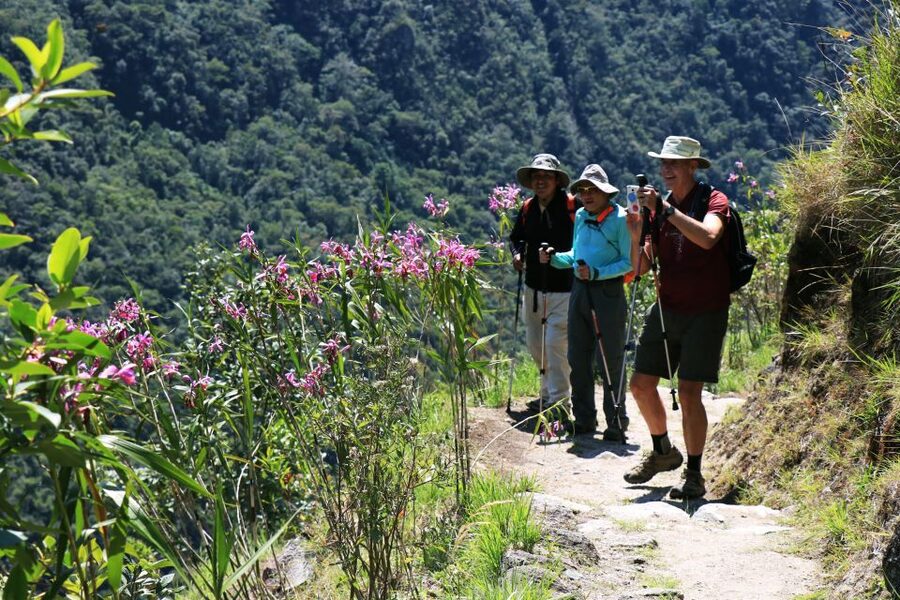Cusco: Machu Picchu 2-Day Inca Trail with Panoramic Train - Fresh food makes a real difference on the trail