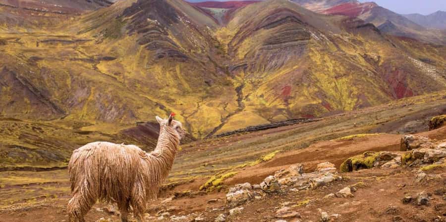 Cusco : Palcoyo - Rainbow Mountain Hidden Sister - Checacupe, colonial bridge, and a practical village break
