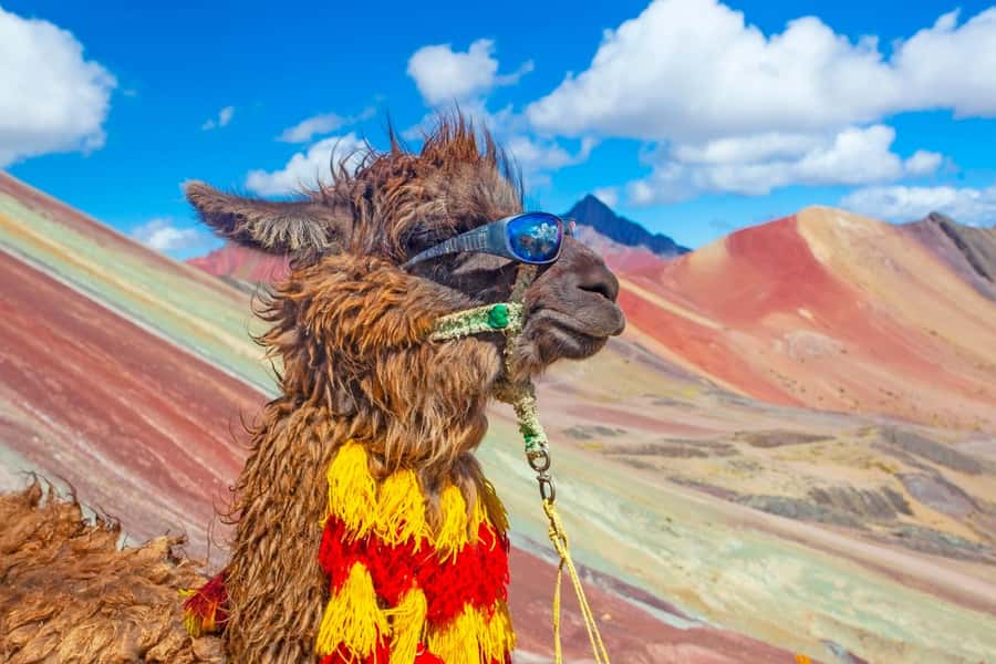Cusco : Rainbow Mountain and Red Valley Tour - Key points to know before booking