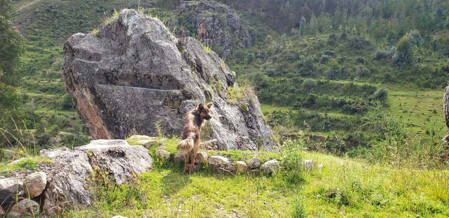 Cusco: Sacsayhuaman Guided Tour and 1-Hour Horseback Ride - Pucapukara, the red fortress