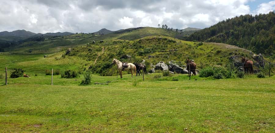 Cusco: Sacsayhuaman Guided Tour and 1-Hour Horseback Ride - Who should book this Cusco horseback tour