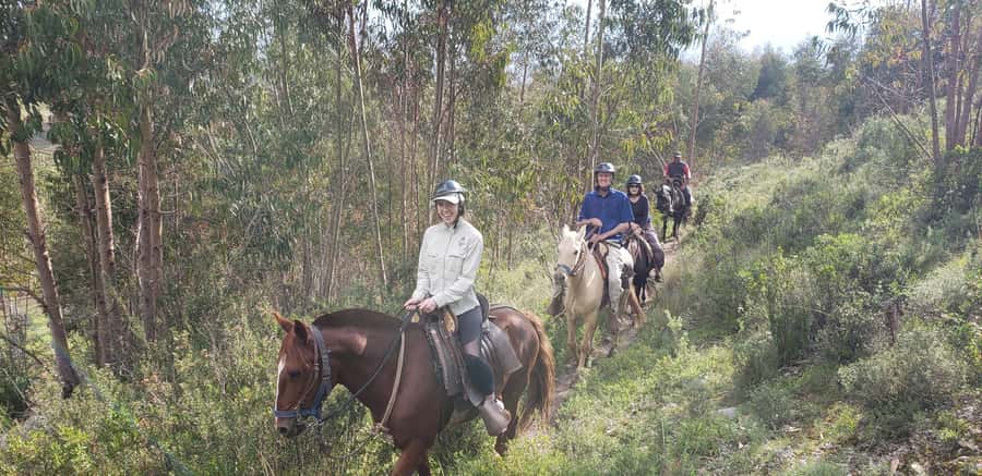 Cusco: Sacsayhuaman Guided Tour and 1-Hour Horseback Ride - Sacsayhuaman and the scale of Inca engineering