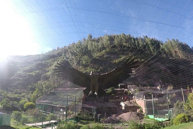 Cusco Santuario de Animales Rescatados en Cusco - Key points before you book