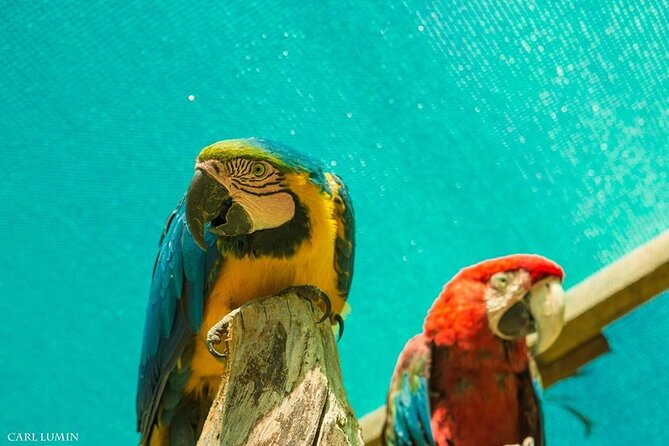 Cusco Santuario de Animales Rescatados en Cusco - What the $34 price includes