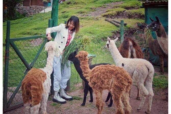 Cusco Santuario de Animales Rescatados en Cusco - Practical timing, pickup, and group details