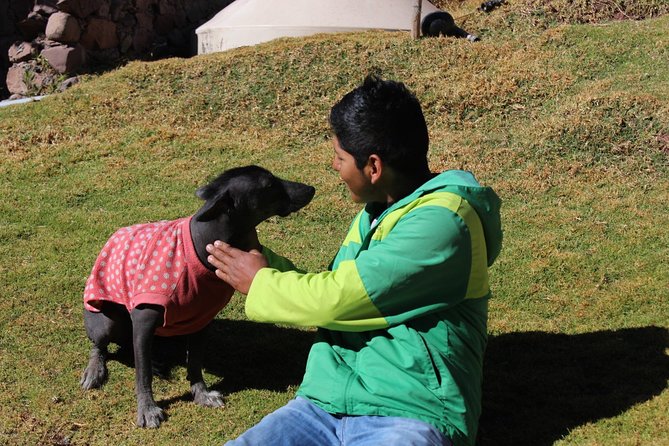 Cusco Santuario de Animales Rescatados en Cusco - Who will enjoy this experience most