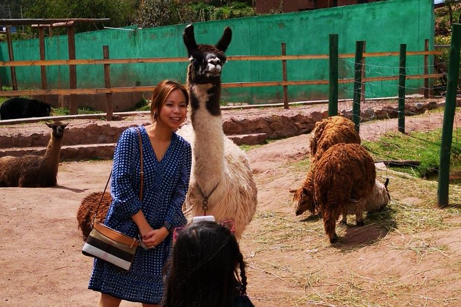 Cusco Santuario de Animales Rescatados en Cusco - Small details that improve the visit