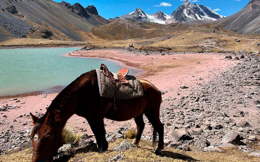Excursion: Explore in one day the 7 lakes of Ausangate from Cusco - Leaving Cusco before sunrise