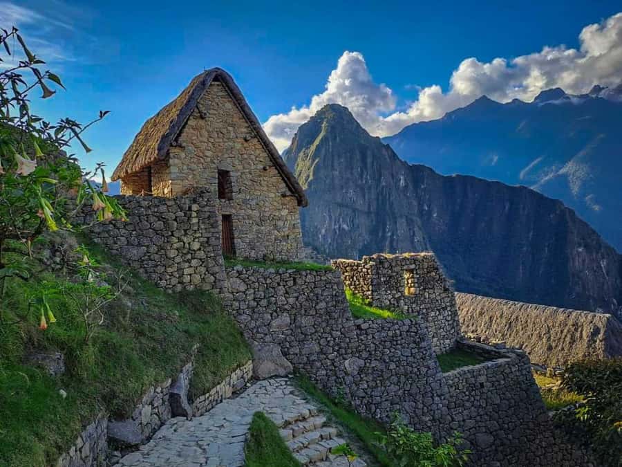 Excursion from Cusco to Machu Picchu + Entrance Tickets Incl - Key points to know before booking