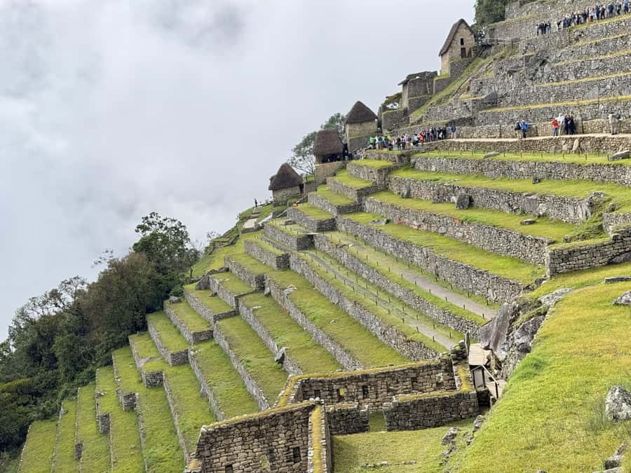 Excursion from Cusco to Machu Picchu + Entrance Tickets Incl - Who should book this excursion?