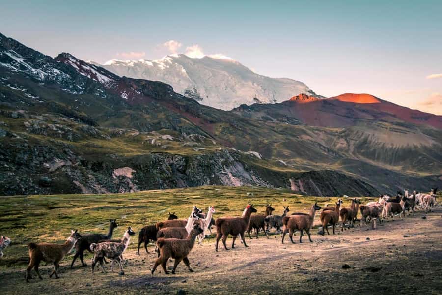 Excursion: Rainbow Mountain and Ausangate 7 Lagoons 2 days - Guides, vehicles, and communication
