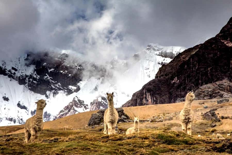 Excursion: Rainbow Mountain and Ausangate 7 Lagoons 2 days - Who will get the most from this trip