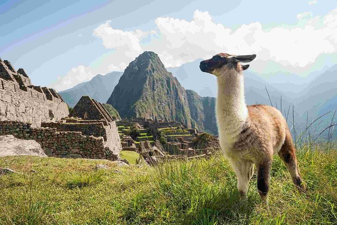 Excursion to MachuPicchu from Cusco with lunch | Private Service| - Lunch in Aguas Calientes, with a tight return schedule