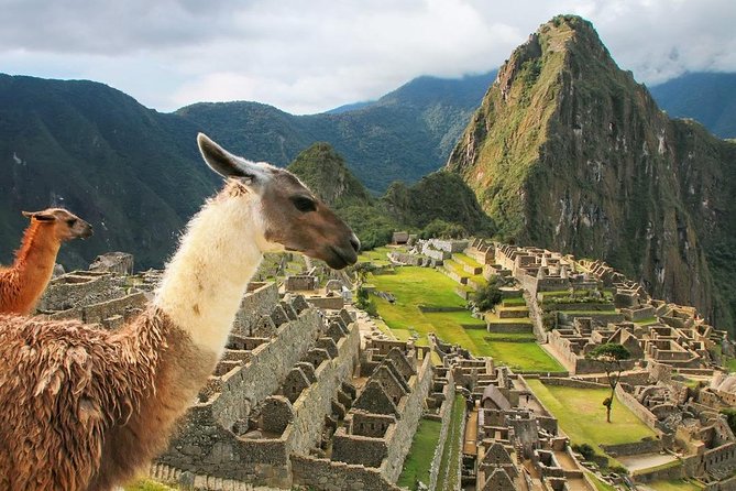 Excursion to MachuPicchu with Train Vistadome Full Day - Arriving in Aguas Calientes