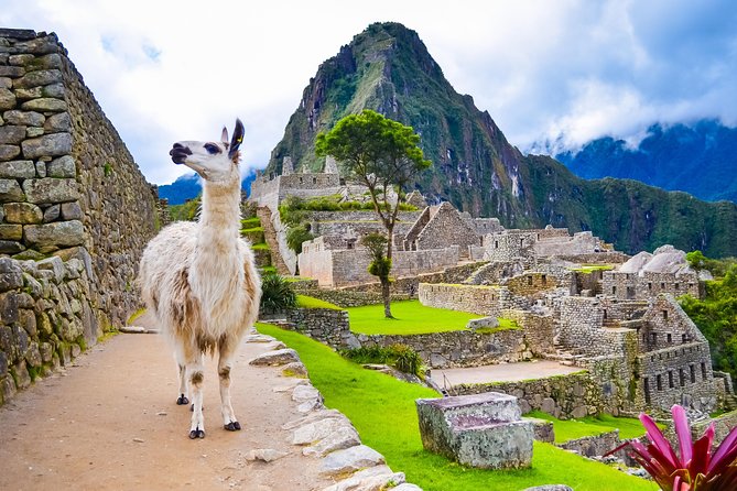 Excursion to MachuPicchu with Train Vistadome Full Day - Two and a half hours inside Machu Picchu