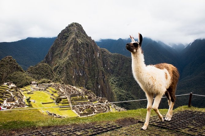 Excursion to MachuPicchu with Train Vistadome Full Day - The return journey to Cusco
