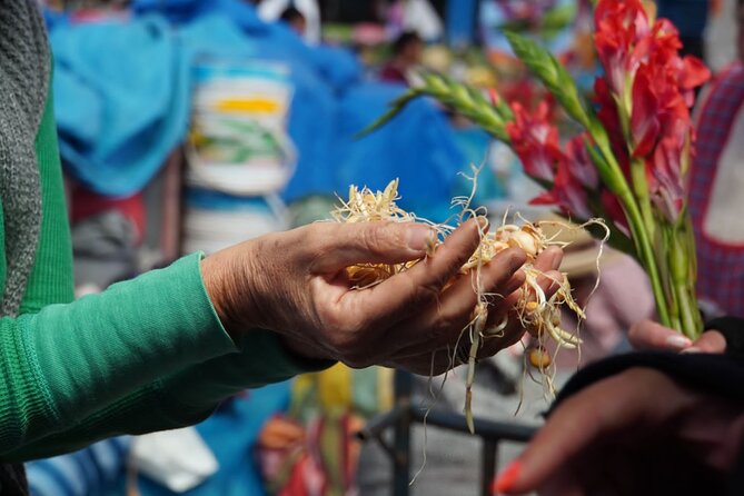 Food and Culture Full day Tour in the Sacred Valley - Key points at a glance