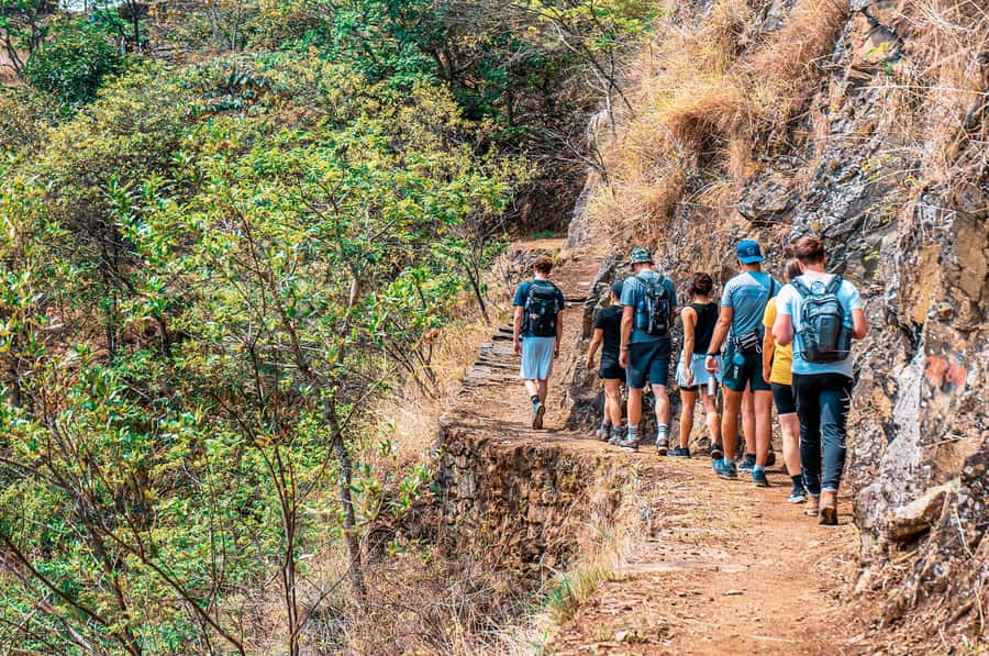 From Cusco: 4-Day Inca Jungle Adventure to Machu Picchu - Day 4: First buses, Route 2, and the Machu Picchu visit