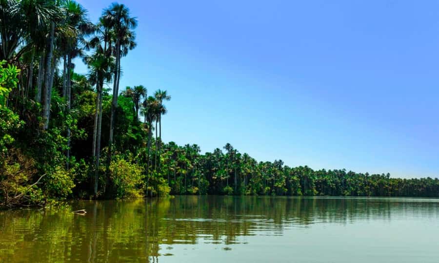 From Cusco: 4 Day Puerto Maldonado Sandoval Lake Excursion - Should you book the Sandoval Lake excursion?
